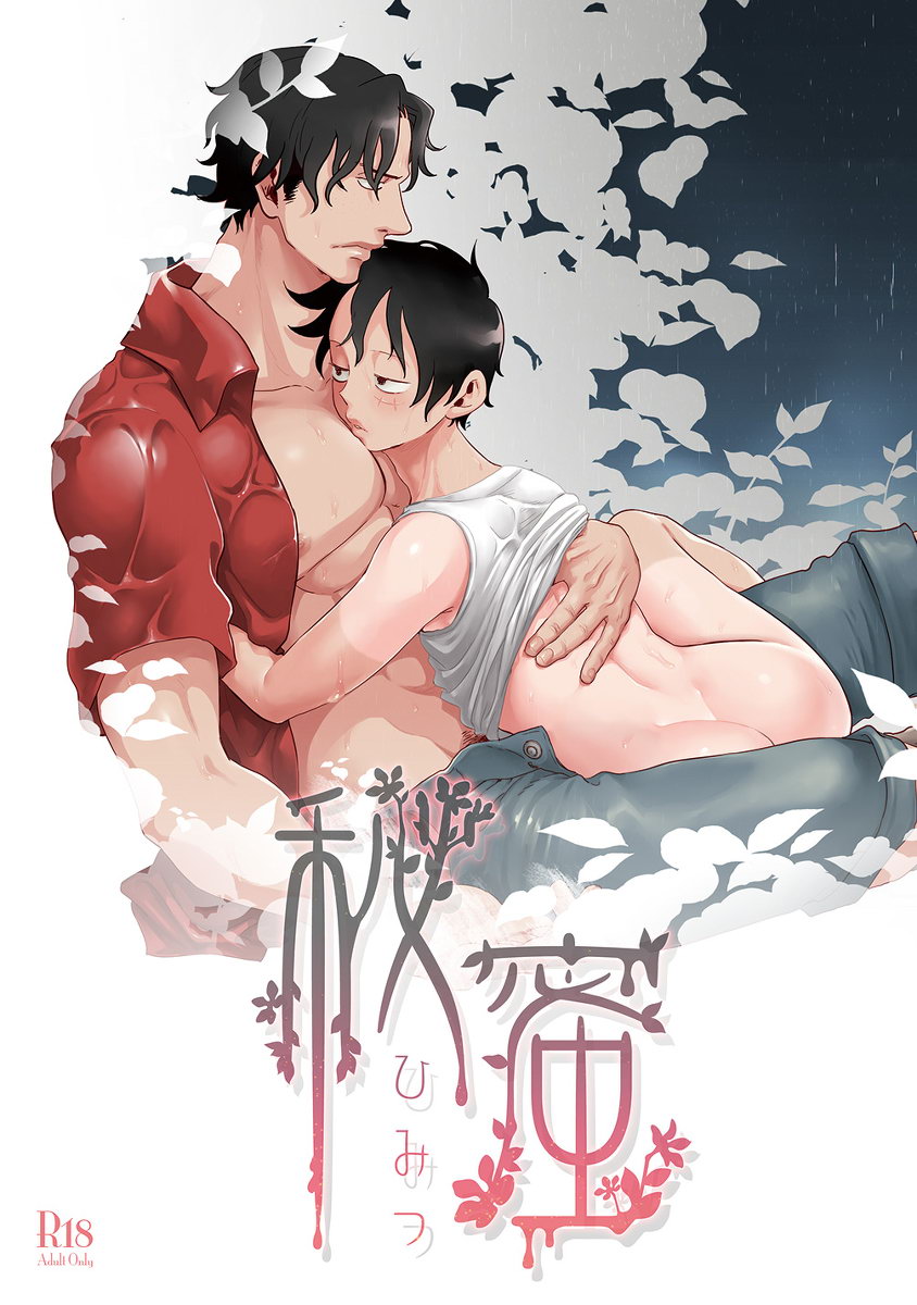 Secret cover