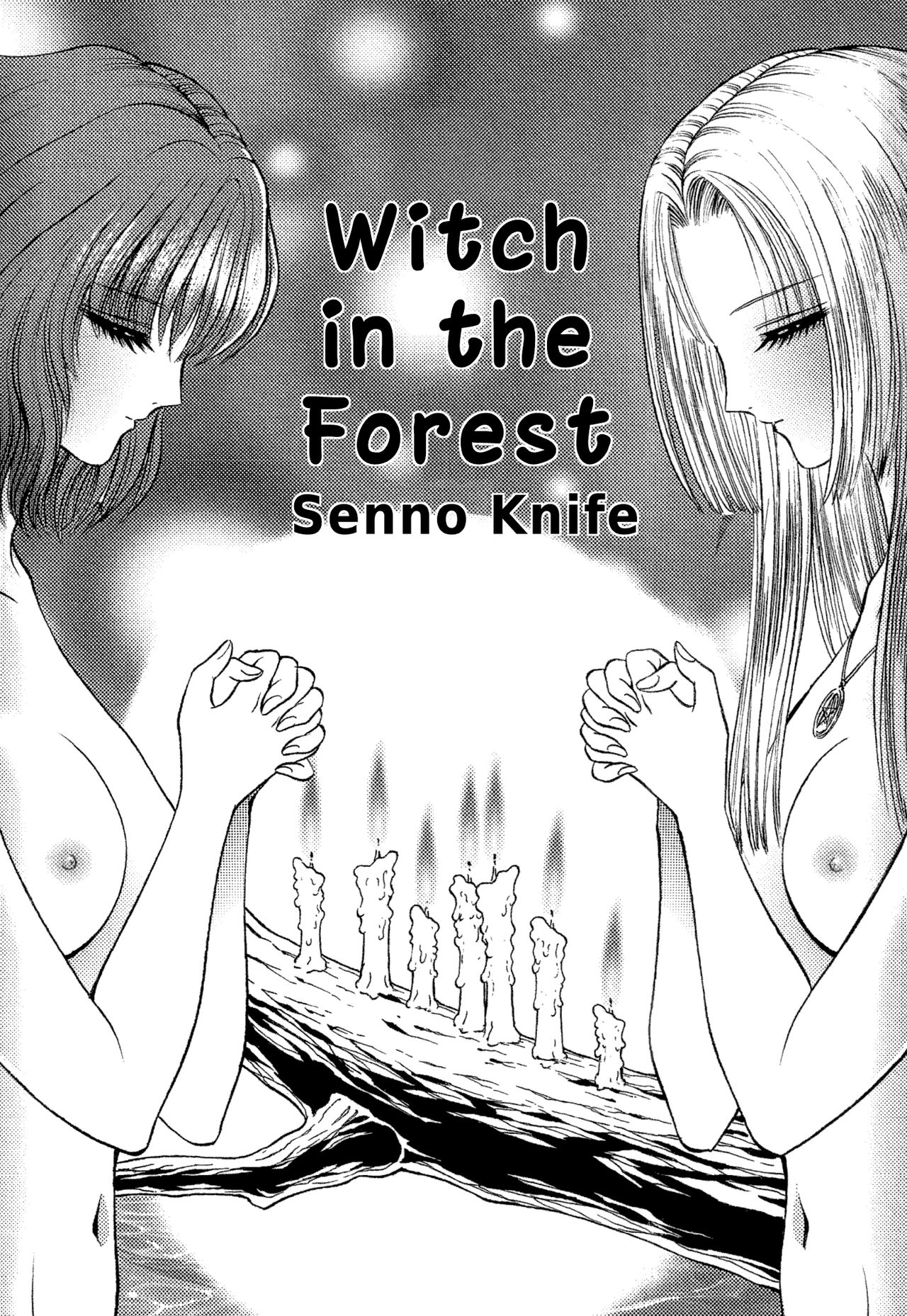 Witch in the Forest cover