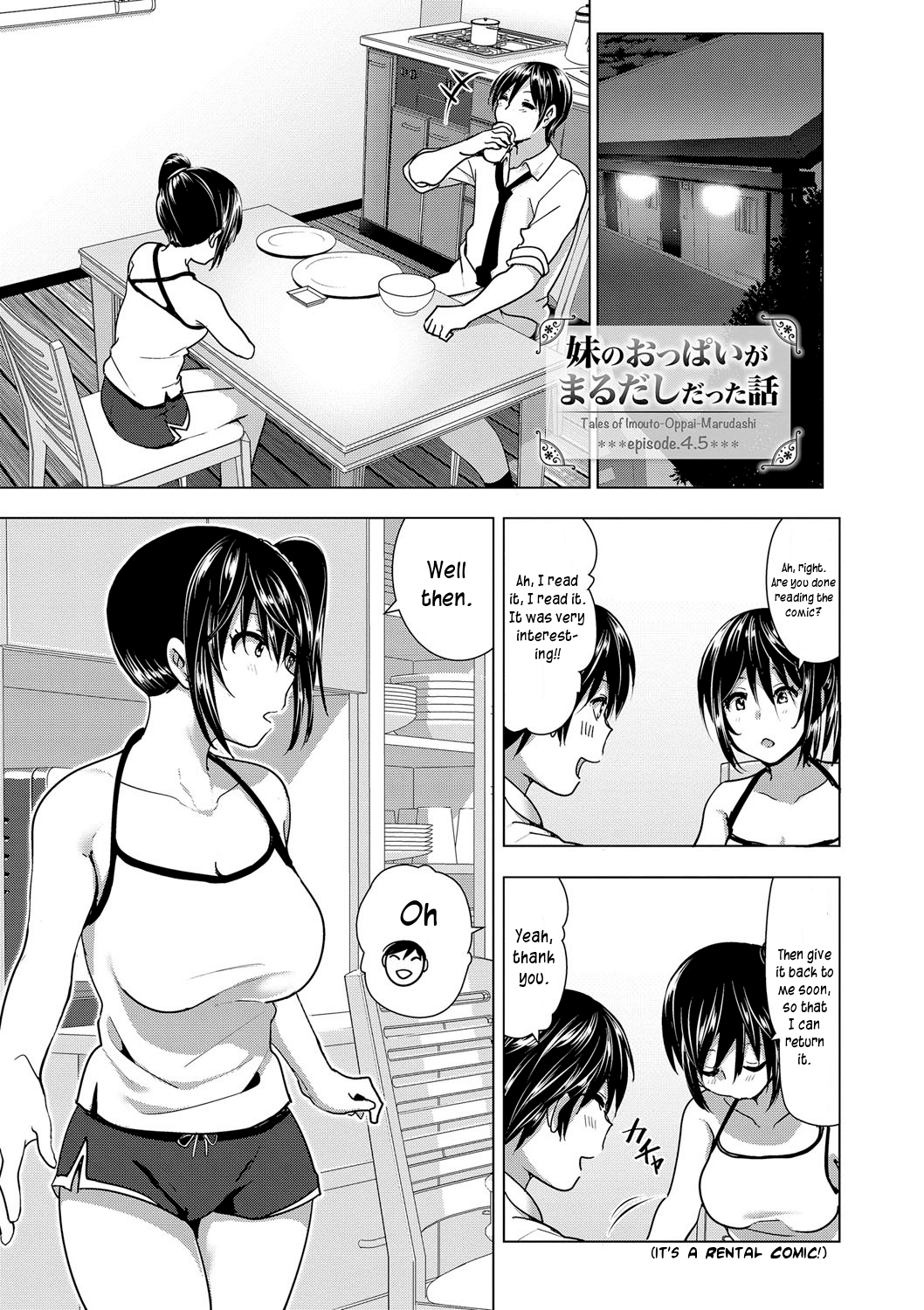 Imouto no Oppai ga Marudashi Datta Hanashi 4.5 cover