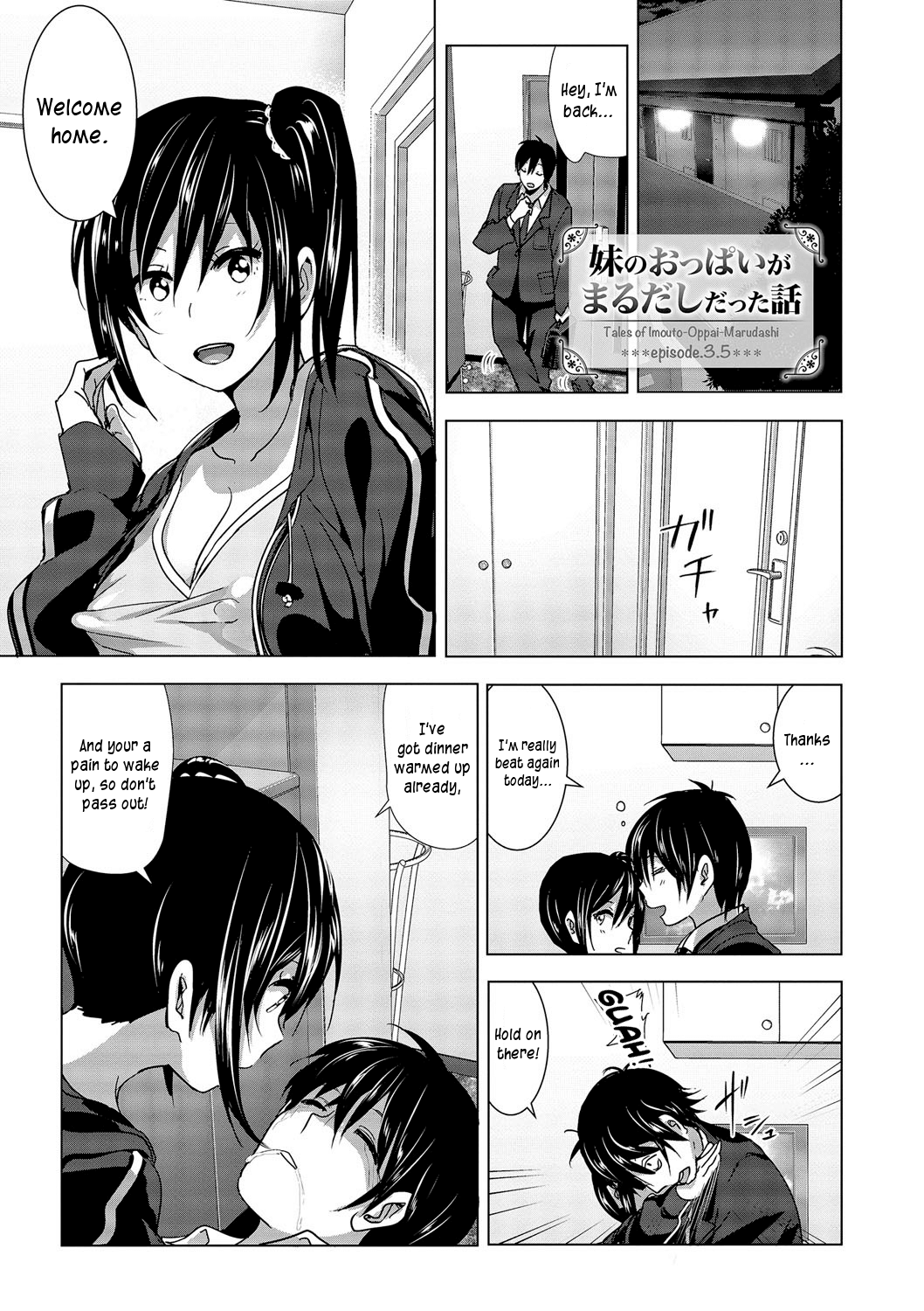 Imouto no Oppai ga Marudashi Datta Hanashi 3.5 cover