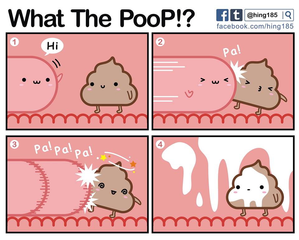 What the PooP cover