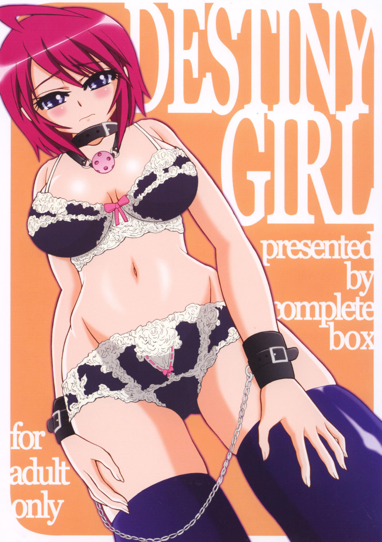 [Complete Box (Ayakawa Hisashi) DESTINY GIRL cover