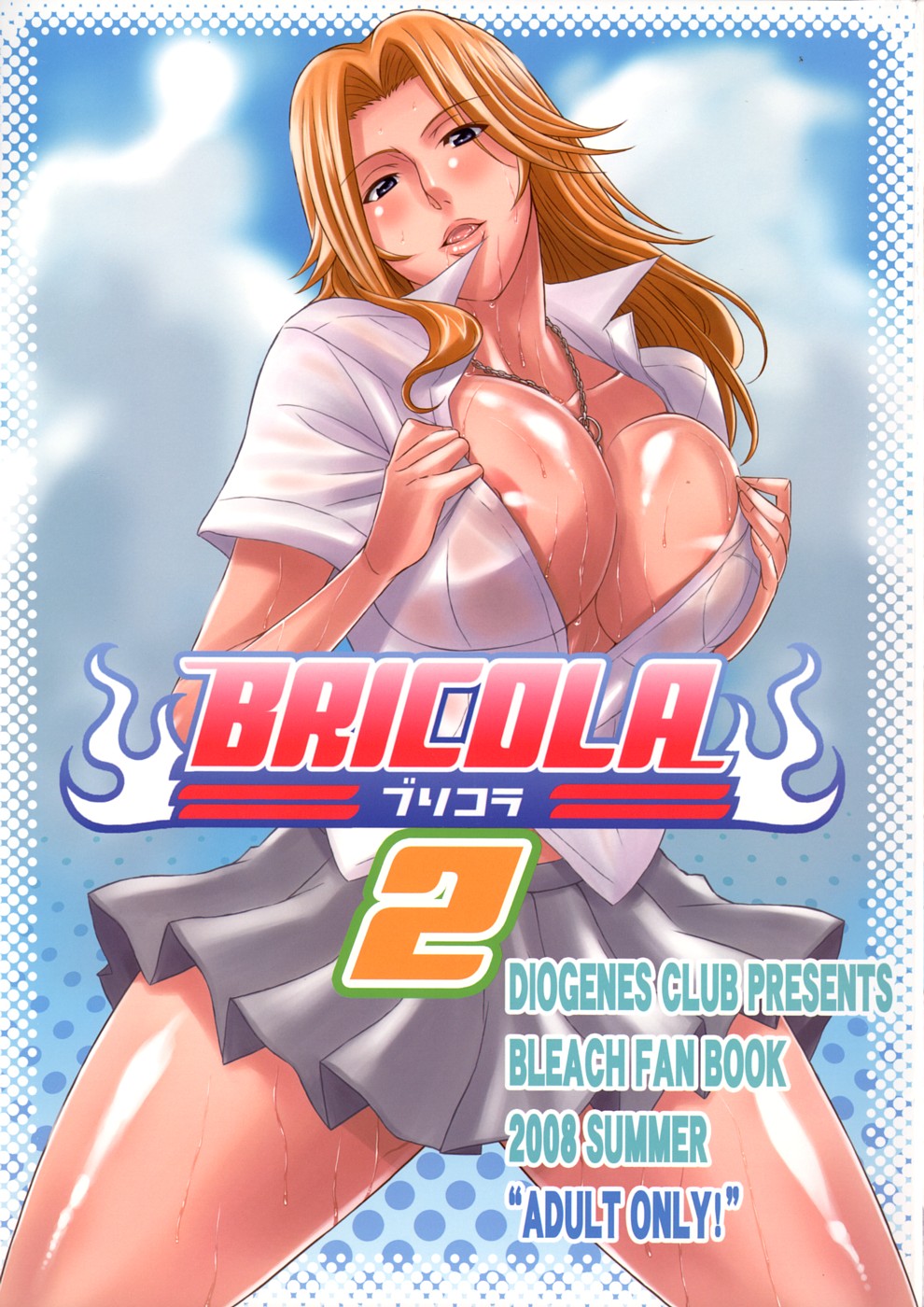 BRICOLA 2 cover