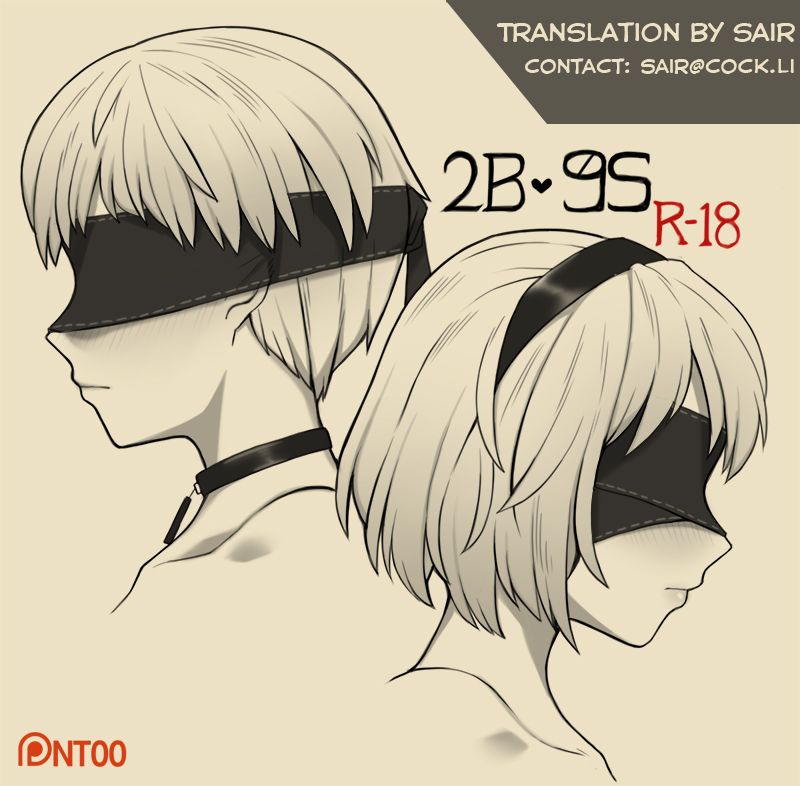 2B 9S cover