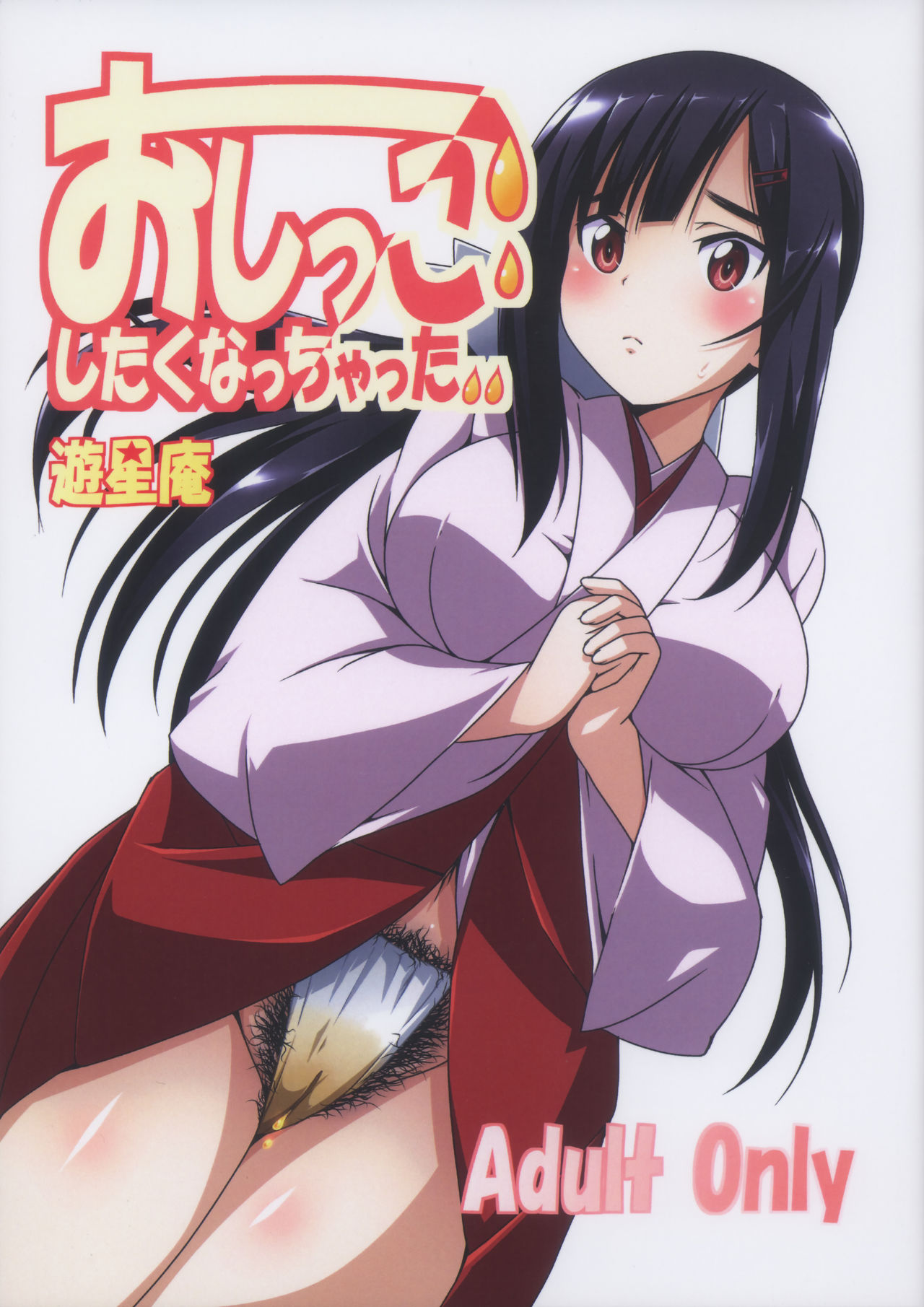 Oshikko Shitaku Nacchatta cover