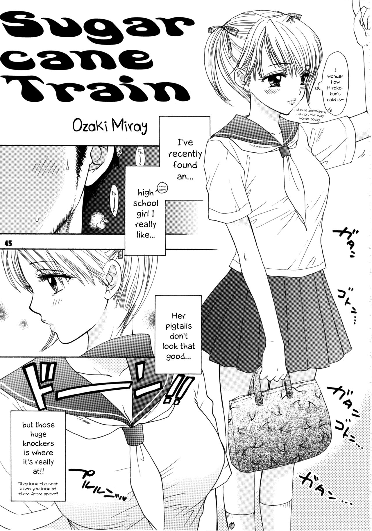 Sugar Cane Train cover