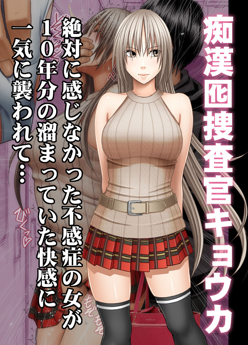 Chikan Otori Sousakan Kyouka ~Zettai ni Kanjinakatta Fukanshou no Onna ga 10-nen-bun no Tamatte ita Kaikan ni Ikki ni Osowarete...~ cover