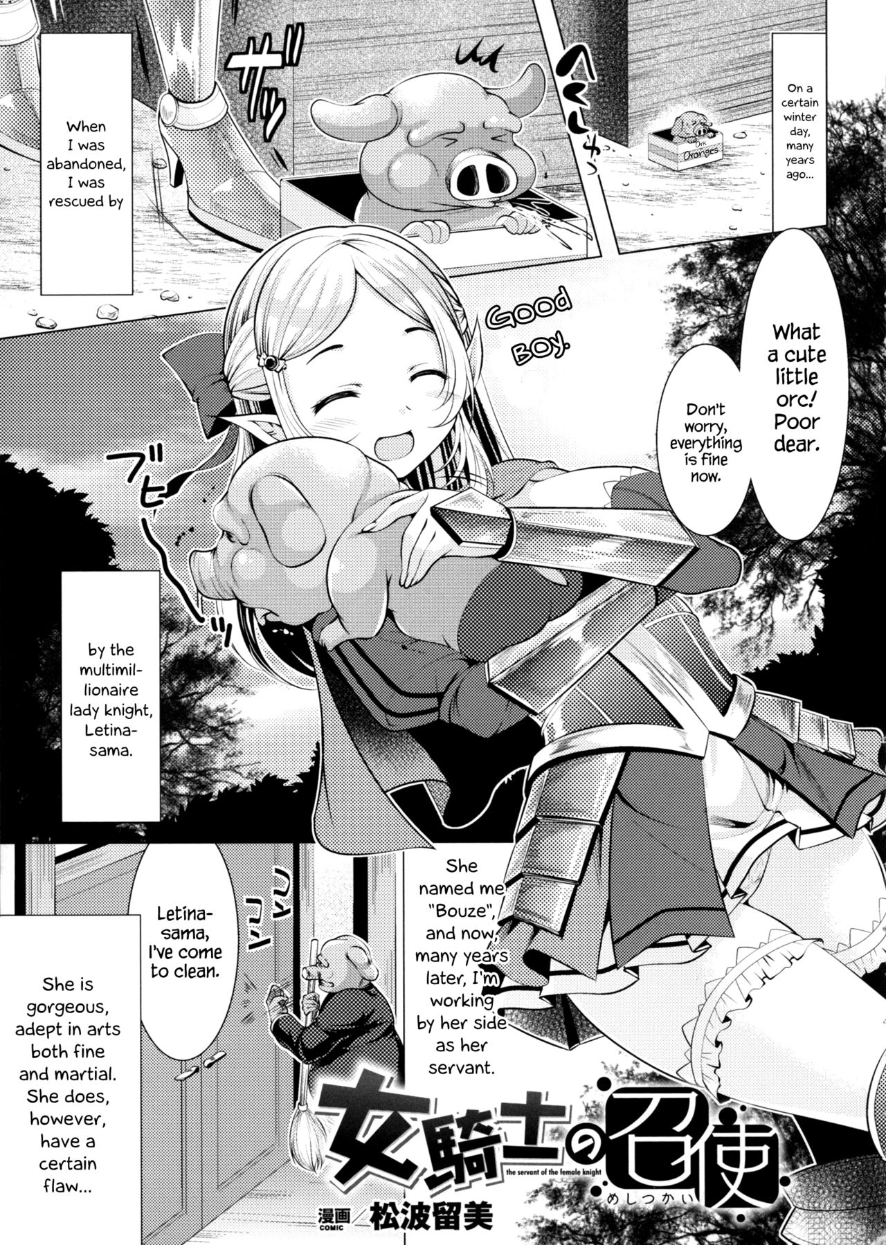 The Servant of the Lady Knight + Extra cover