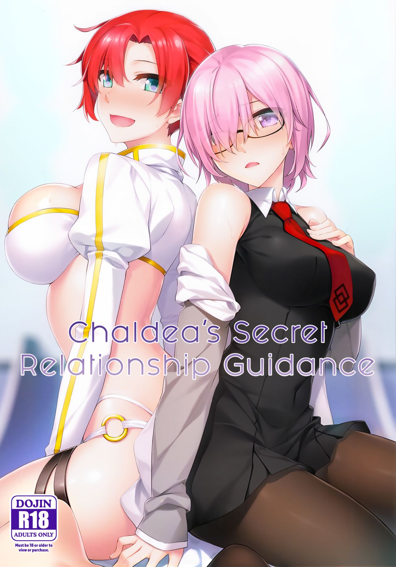 Chaldea's Secret Relationship Guidance cover