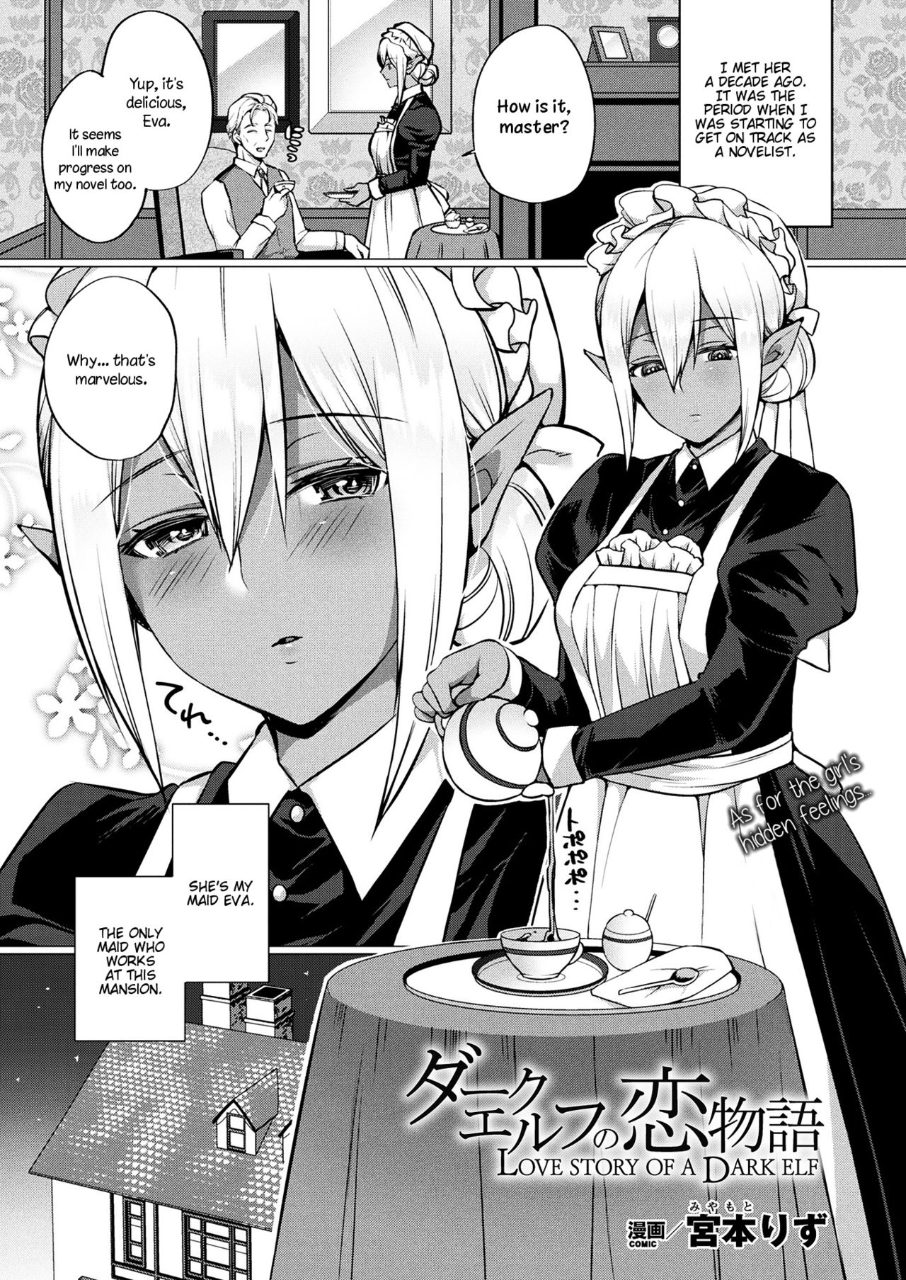 Love Story Of A Dark Elf cover