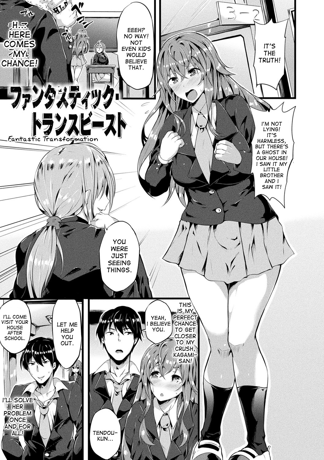 Fantastic Transformation cover