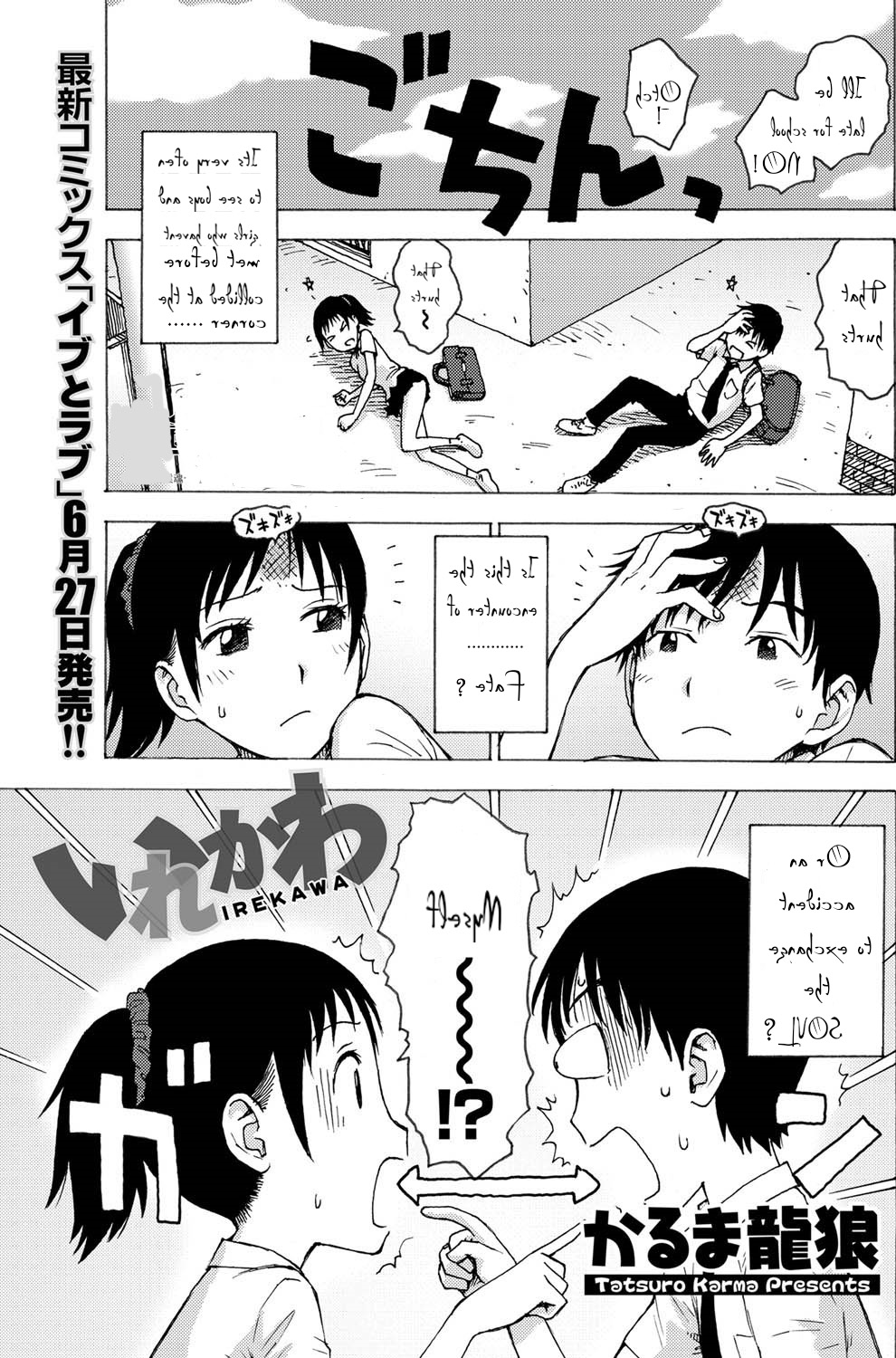 Irekawa cover