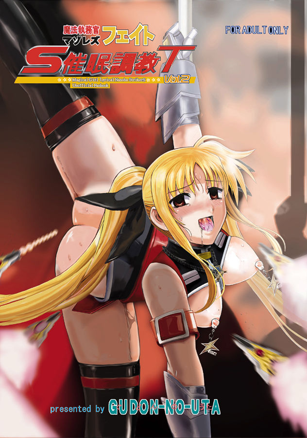 Mahou Shitsumukan MasoLes Fate Saimin Choukyou Vol. 2 cover
