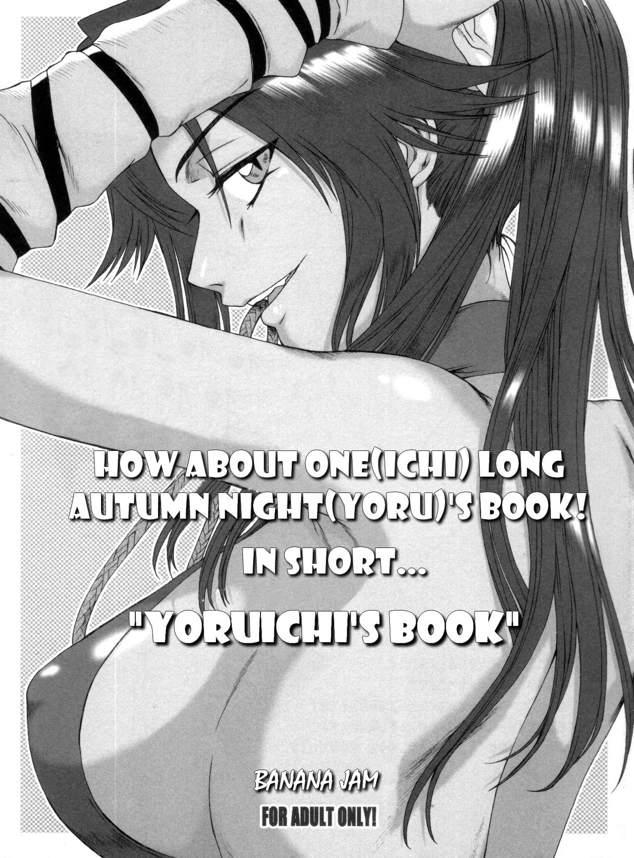 How About One(ICHI) Long Autumn NightYORU)'s Book! In Short... "Yoruichi's Book" cover