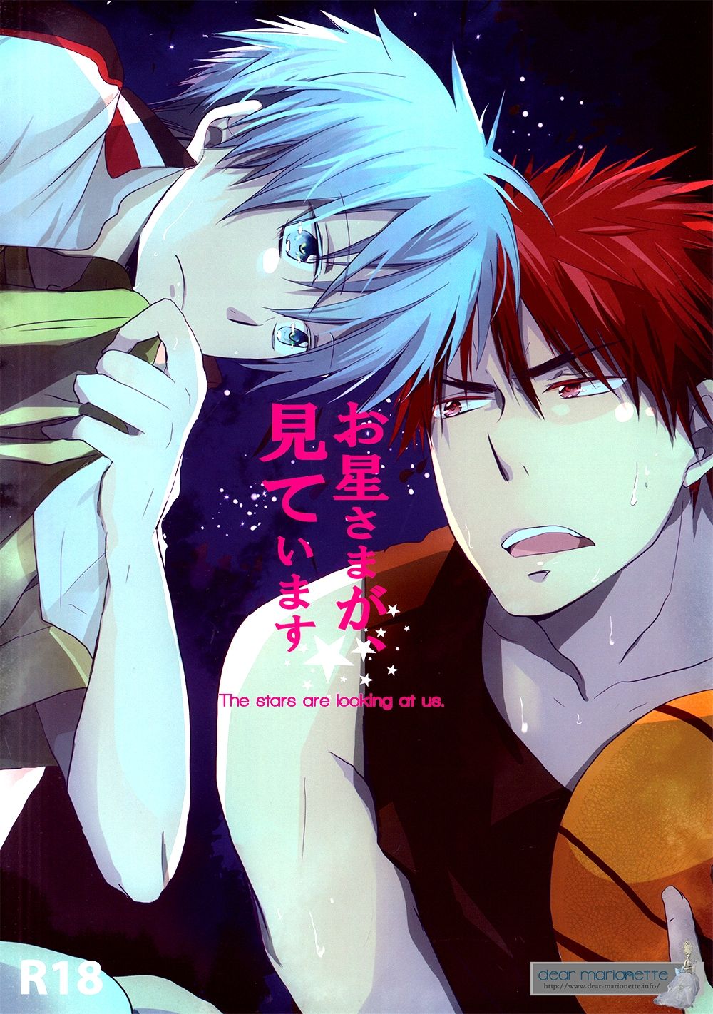 The Stars Are Looking at Us cover