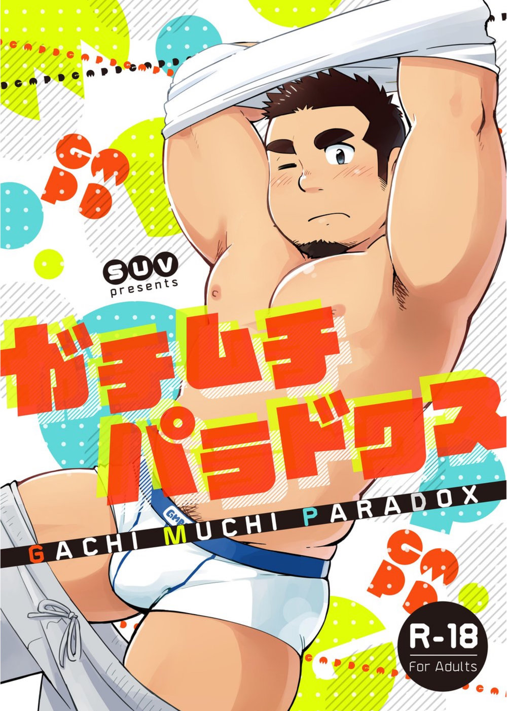 The Bear Paradox cover