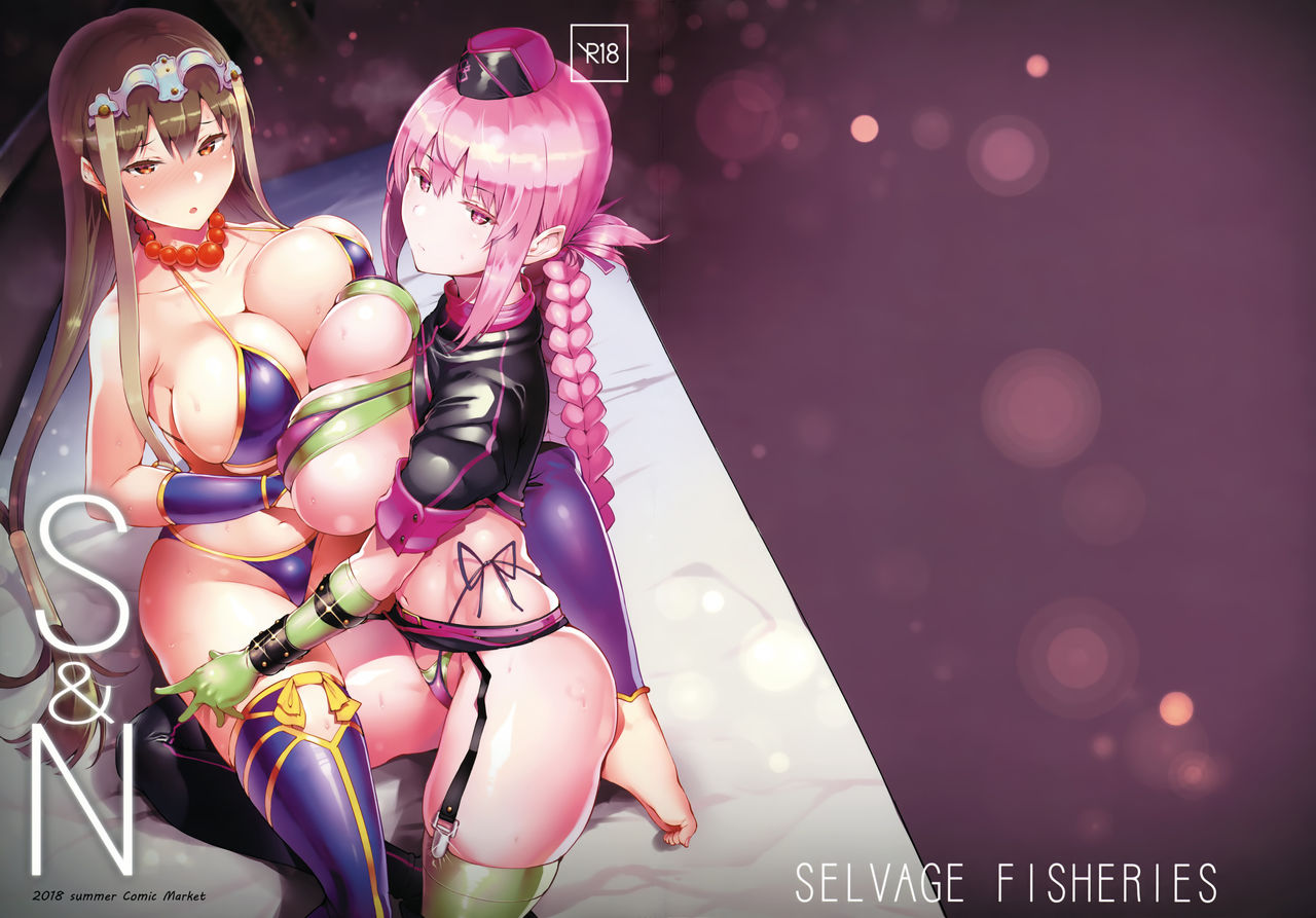 S&N (Fate/Grand Order) [English] =The Lost Light + mrwayne= cover