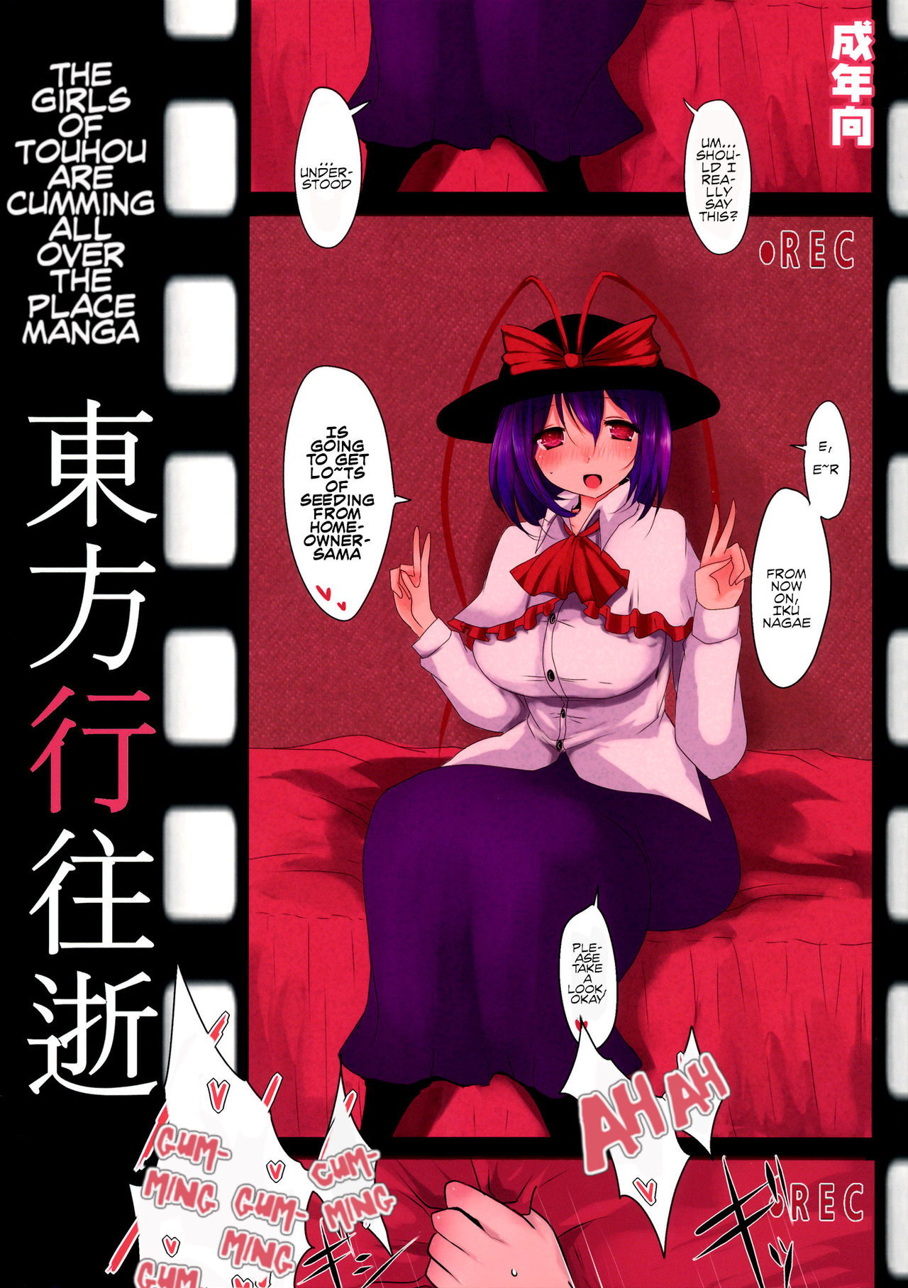 Touhou Kouousei cover