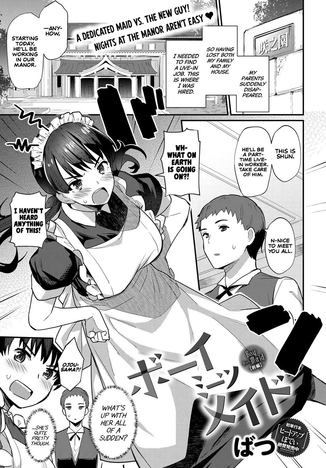 Boy Meets Maid Zenpen cover