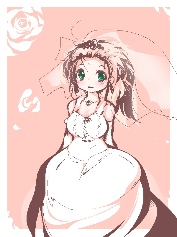 The bride Transforms cover