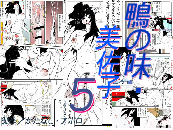 Kamo no Aji - Misako 5 cover