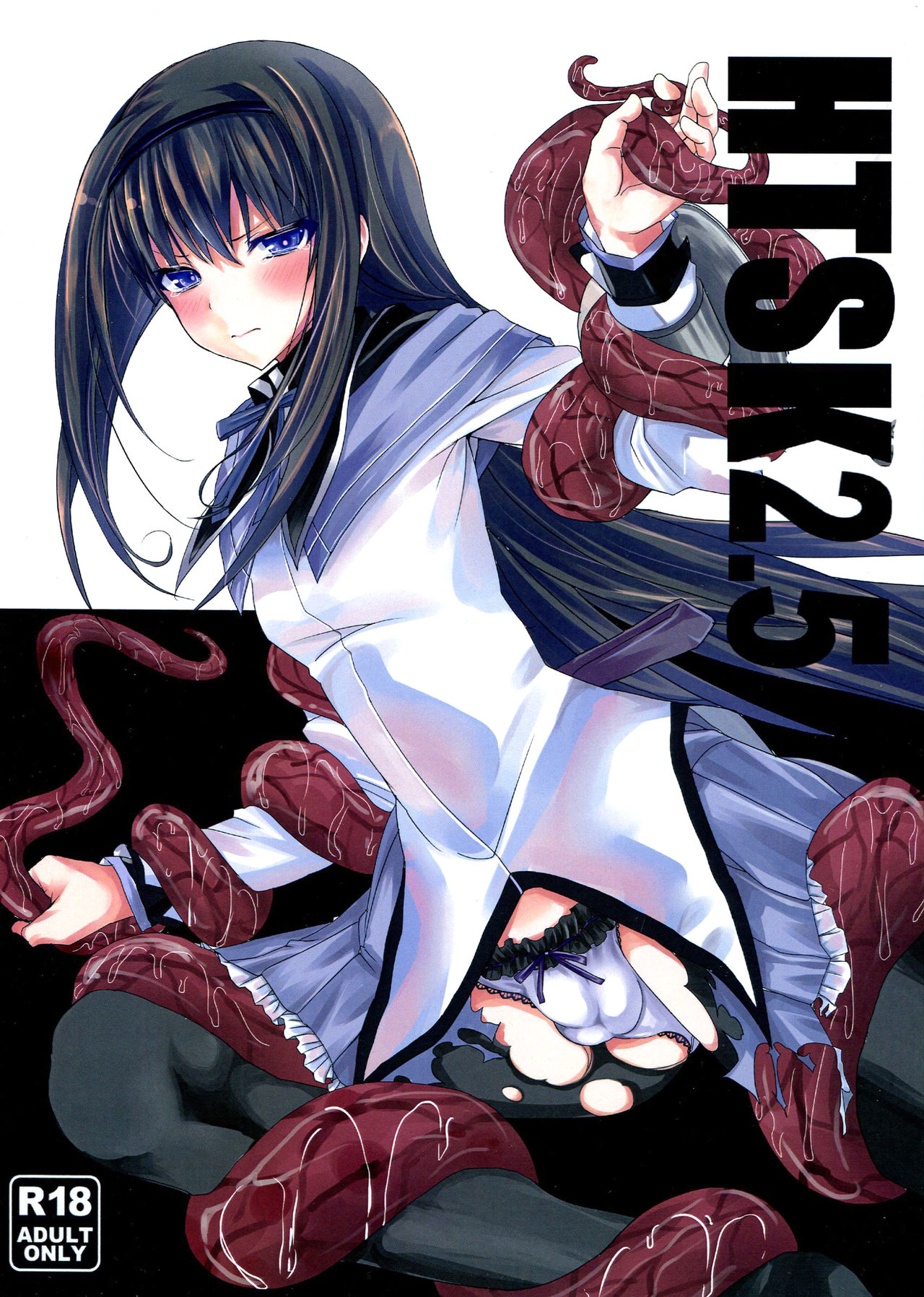 HTSK2.5 cover