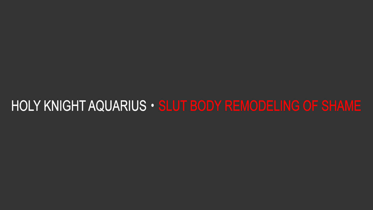 Holy Knight Aquarius - Slut Body Remodeling of Shame cover