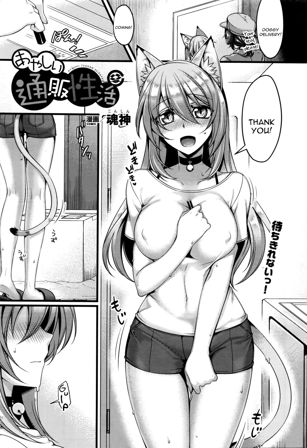 Ayashii Tsuuhan Seikatsu cover