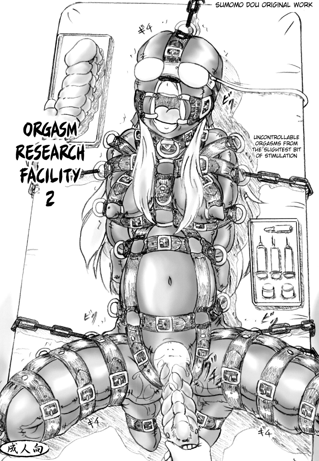 Orgasm Research Facility 2 cover