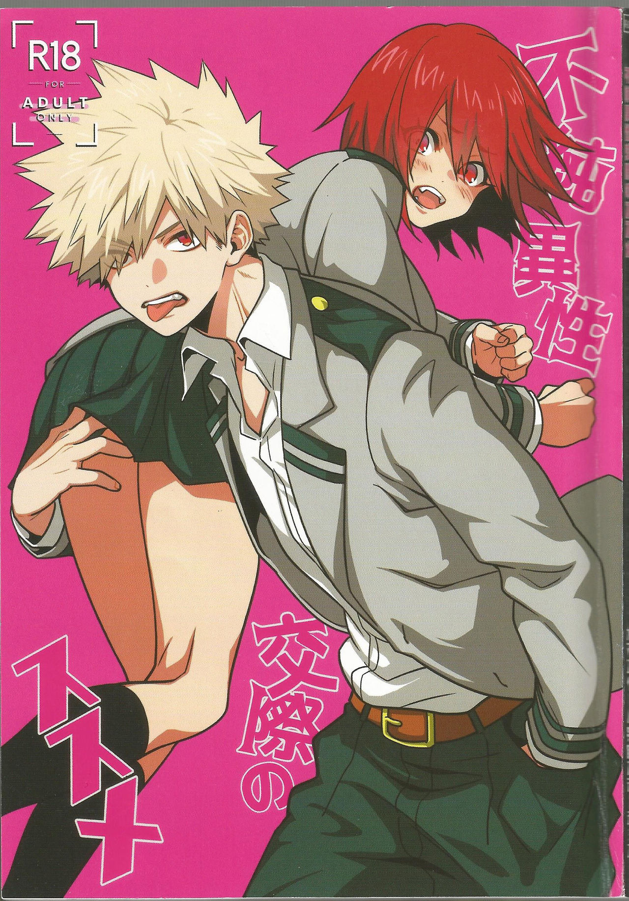Fujun Isei Kousai no Susume cover