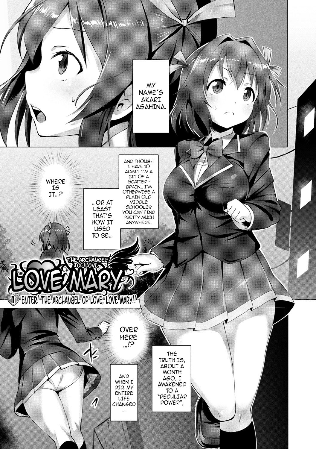 Aisei Tenshi Love Mary cover