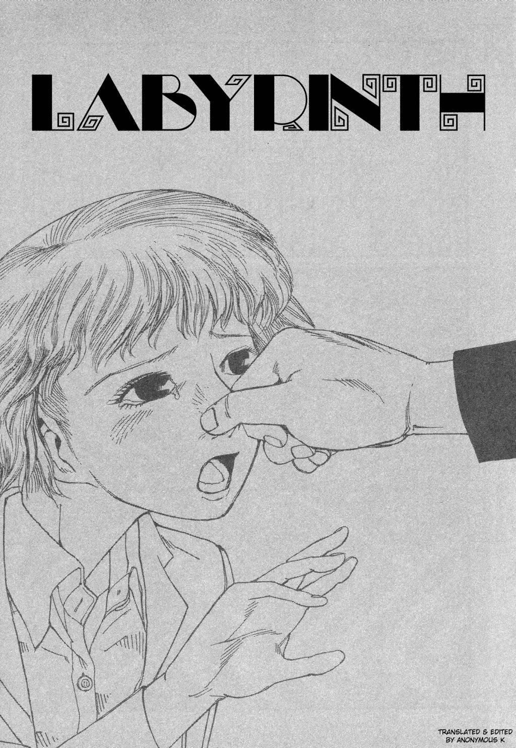 Shintaro Kago - Labyrinth cover