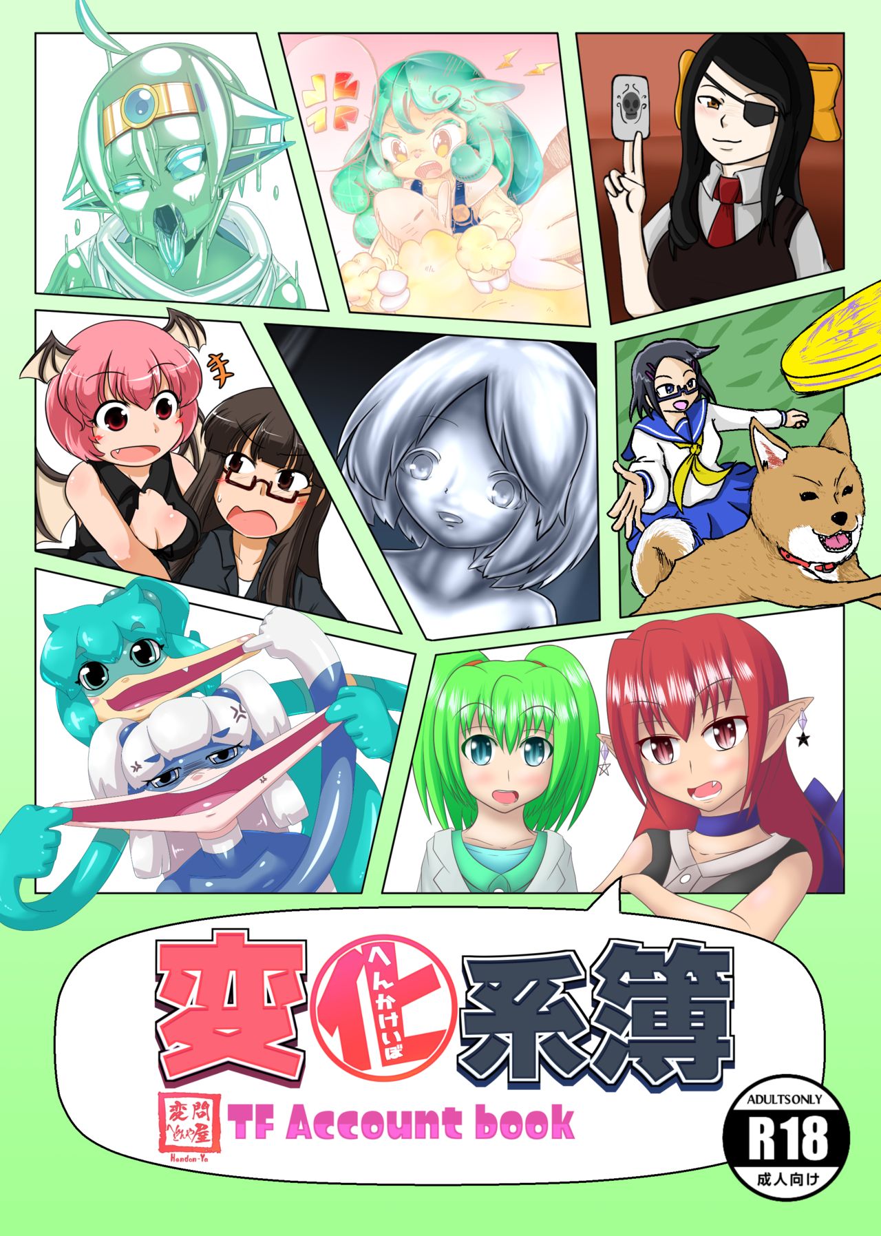 Henka-kei-bo TF Account book cover