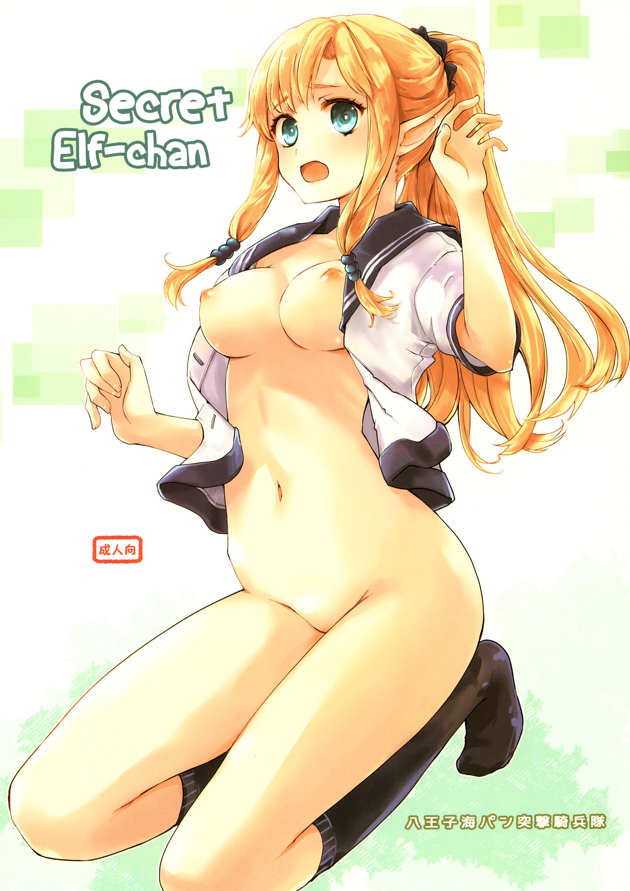 Secret Elf-chan cover