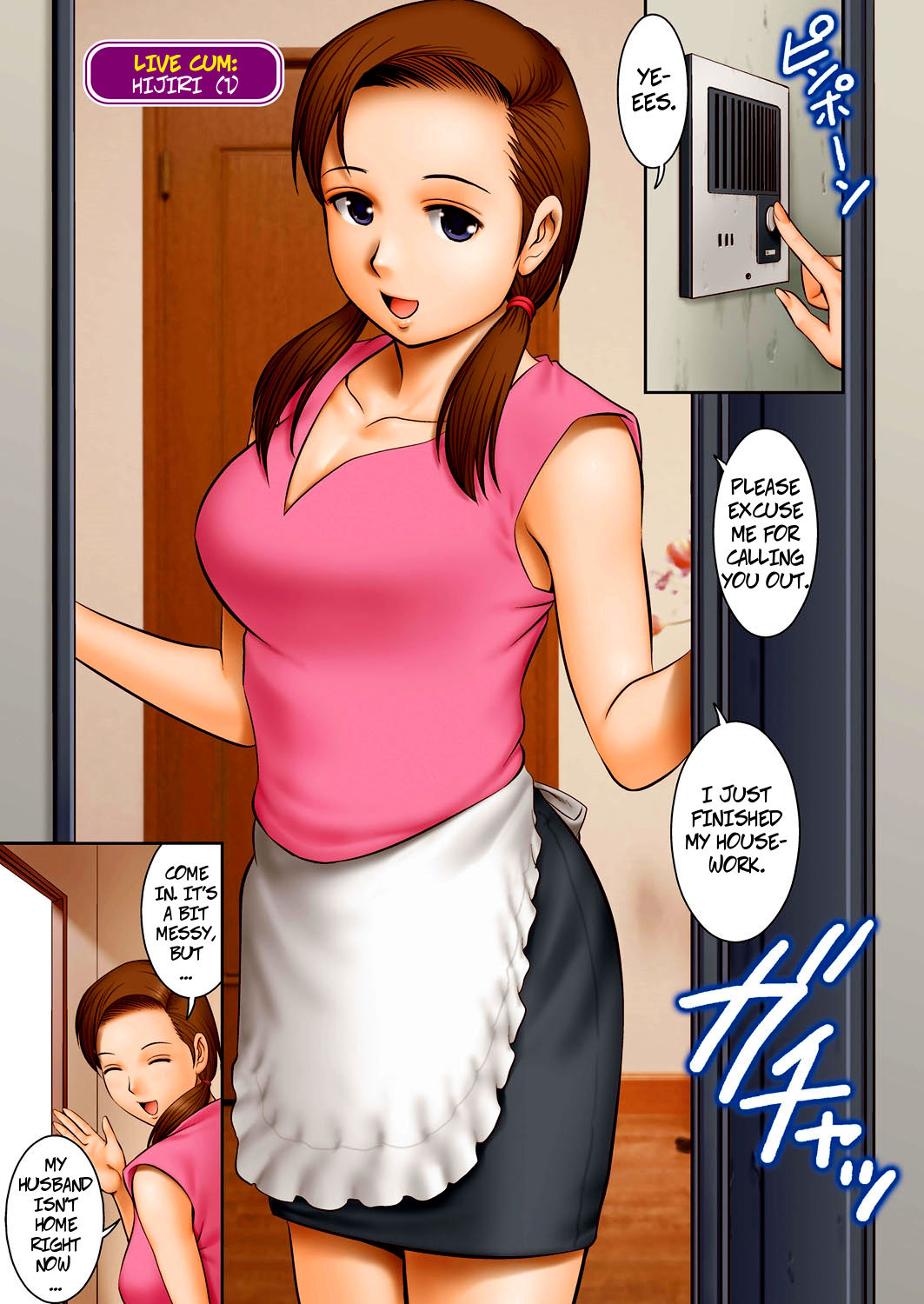 The Case of Hijiri cover