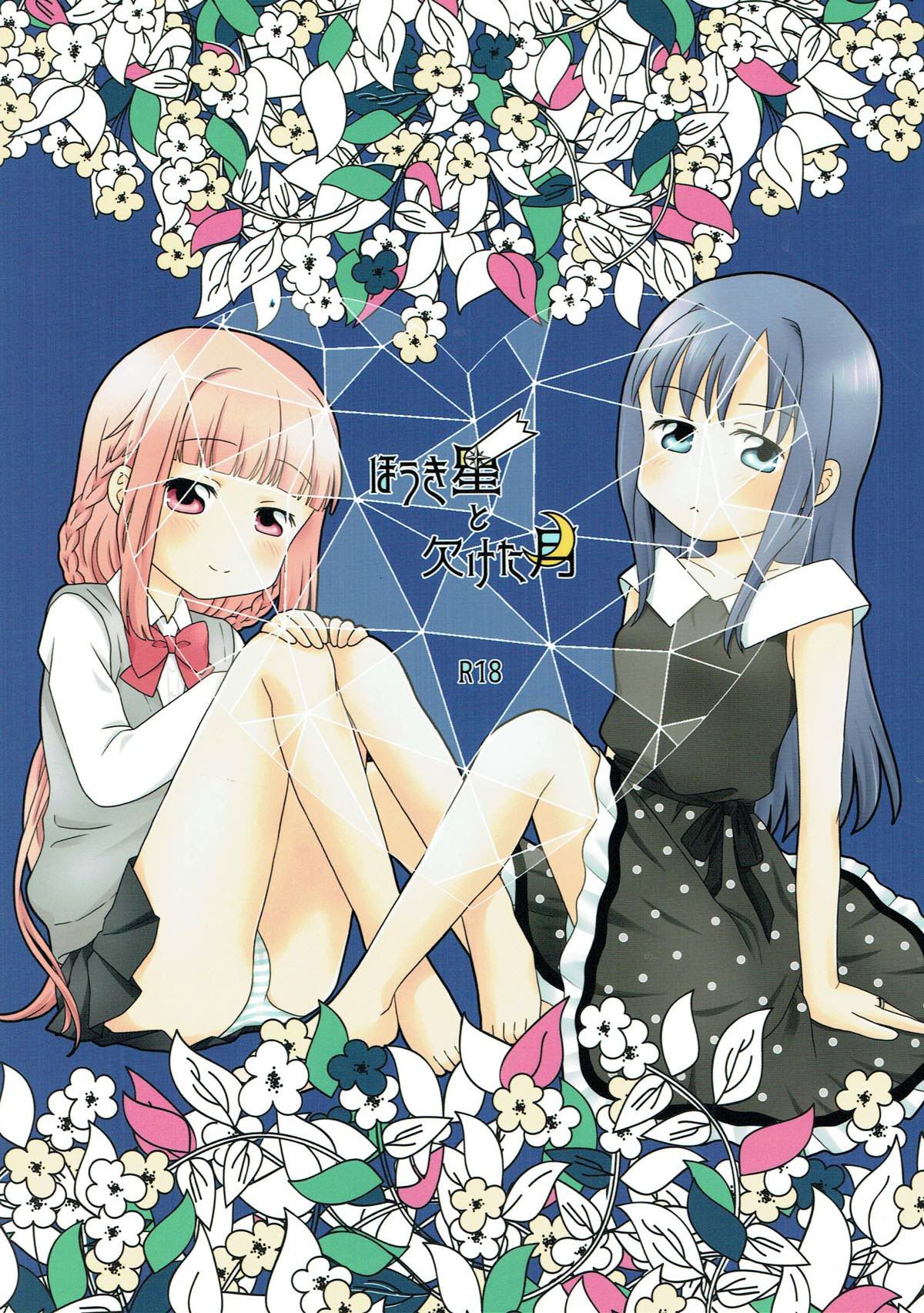 The shooting star and the waning moon cover