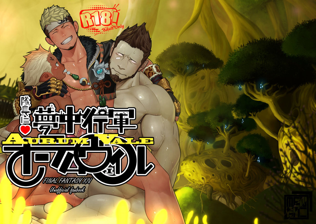 Taichou ni Muchuu Kougun Aurum Vale cover