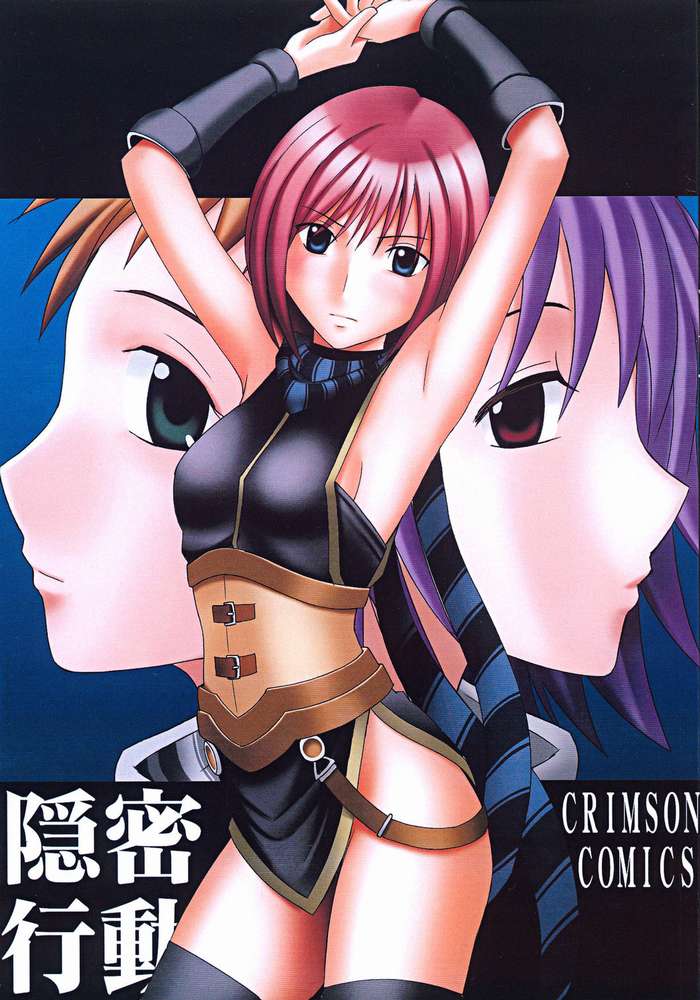 Covert Action cover