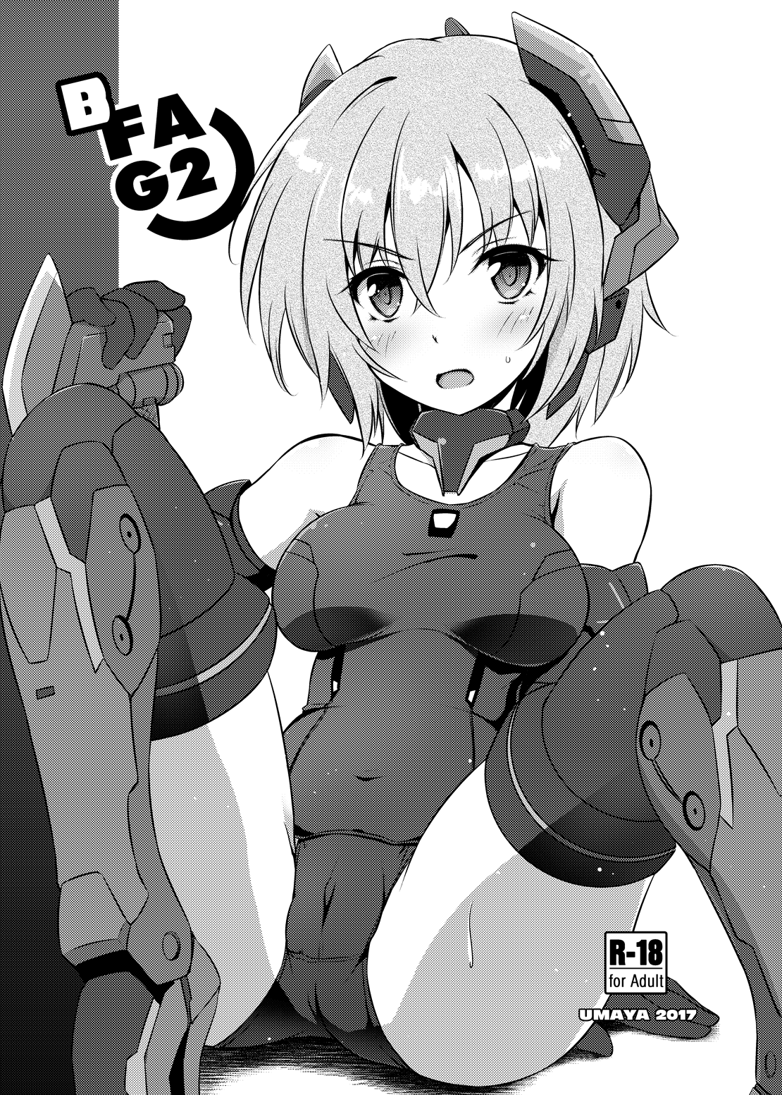 BFAG 2 cover