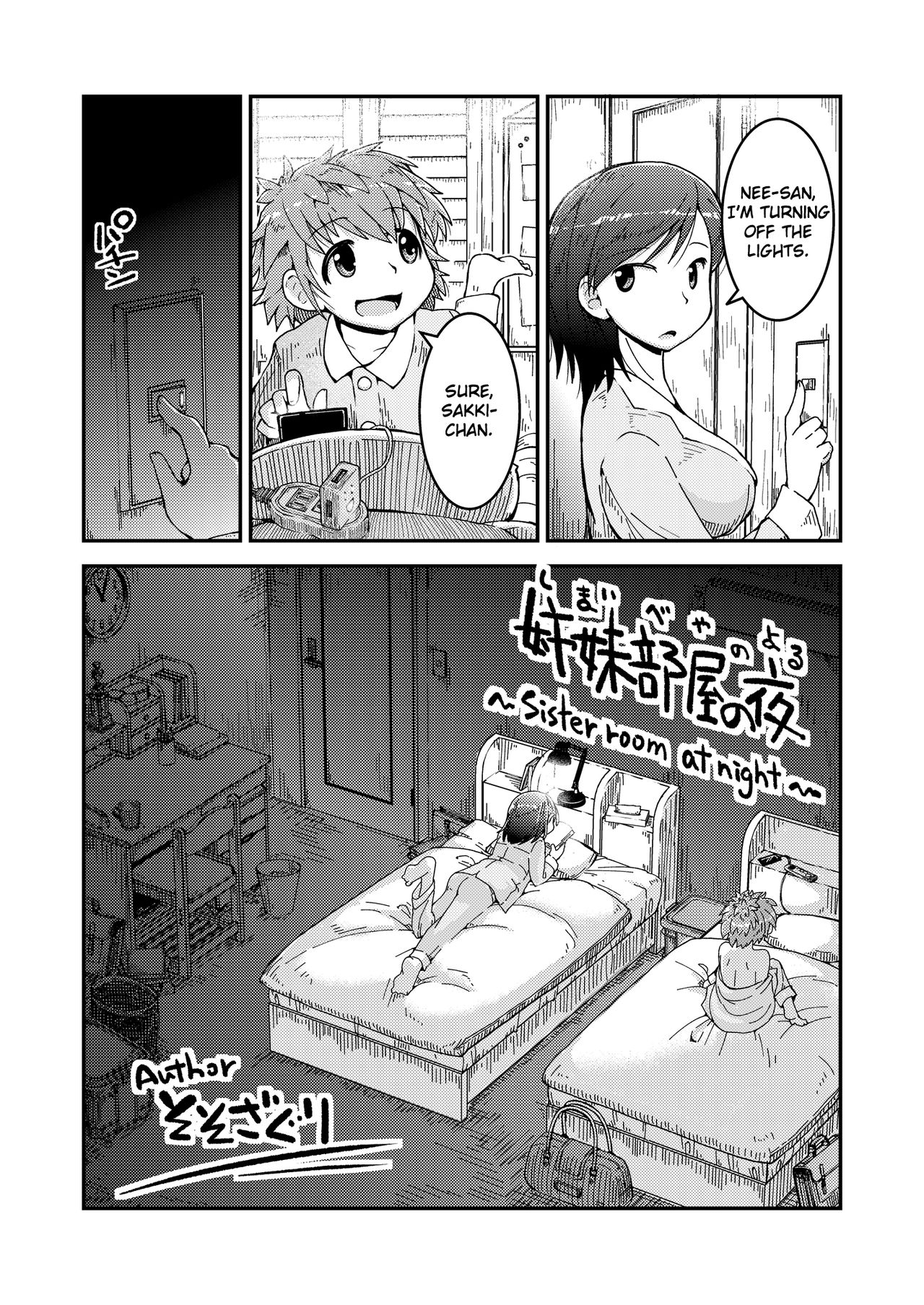 Sister Room at Night cover