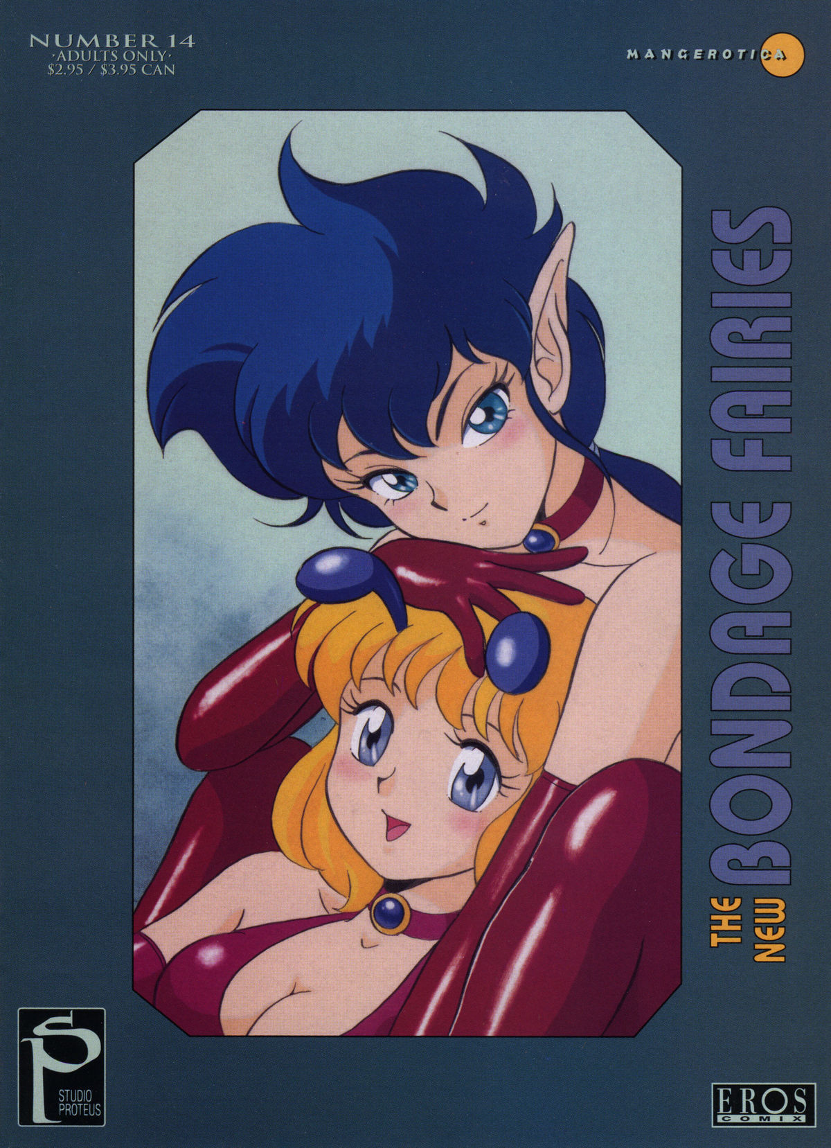 The New Bondage Fairies Issue 14 cover