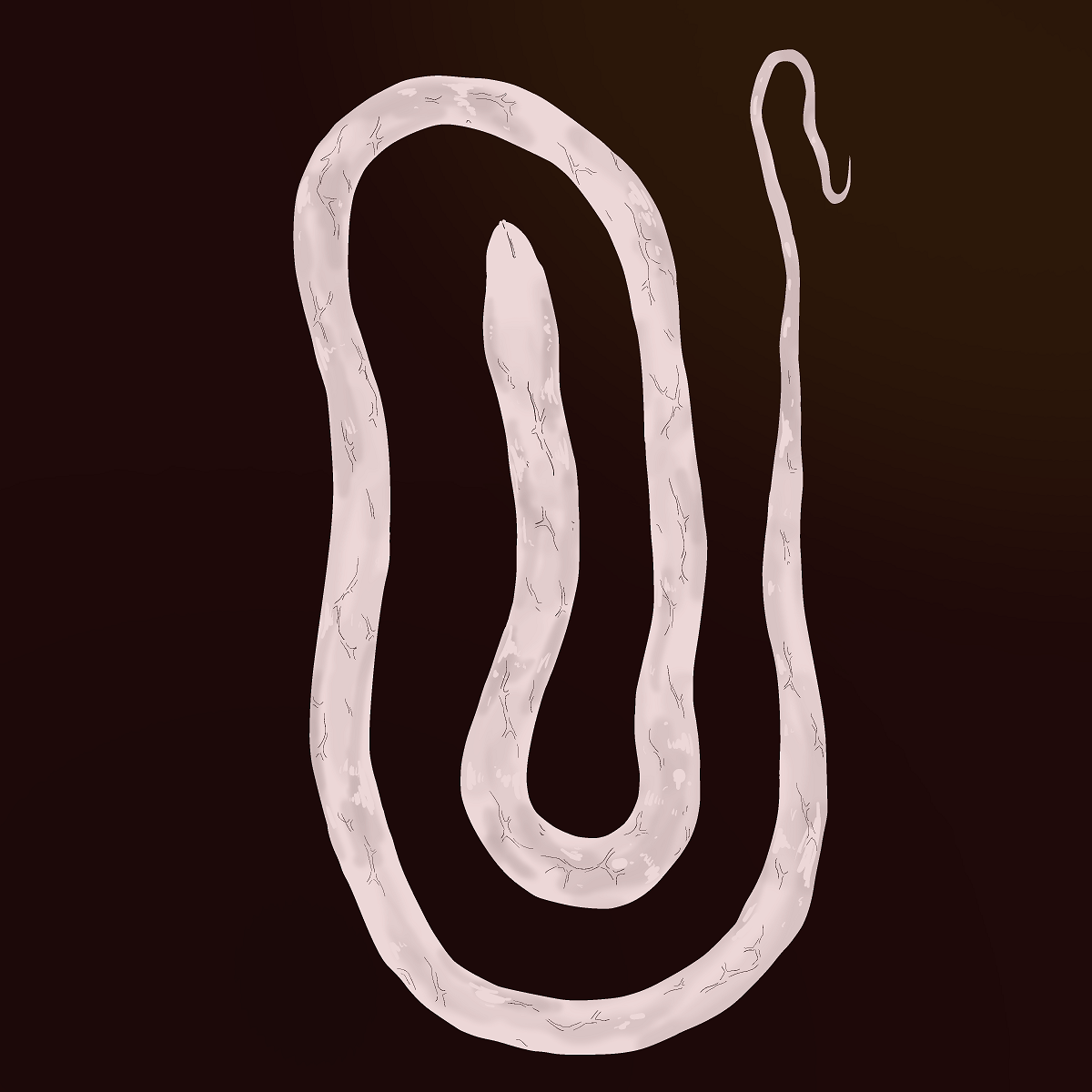 White Snake cover