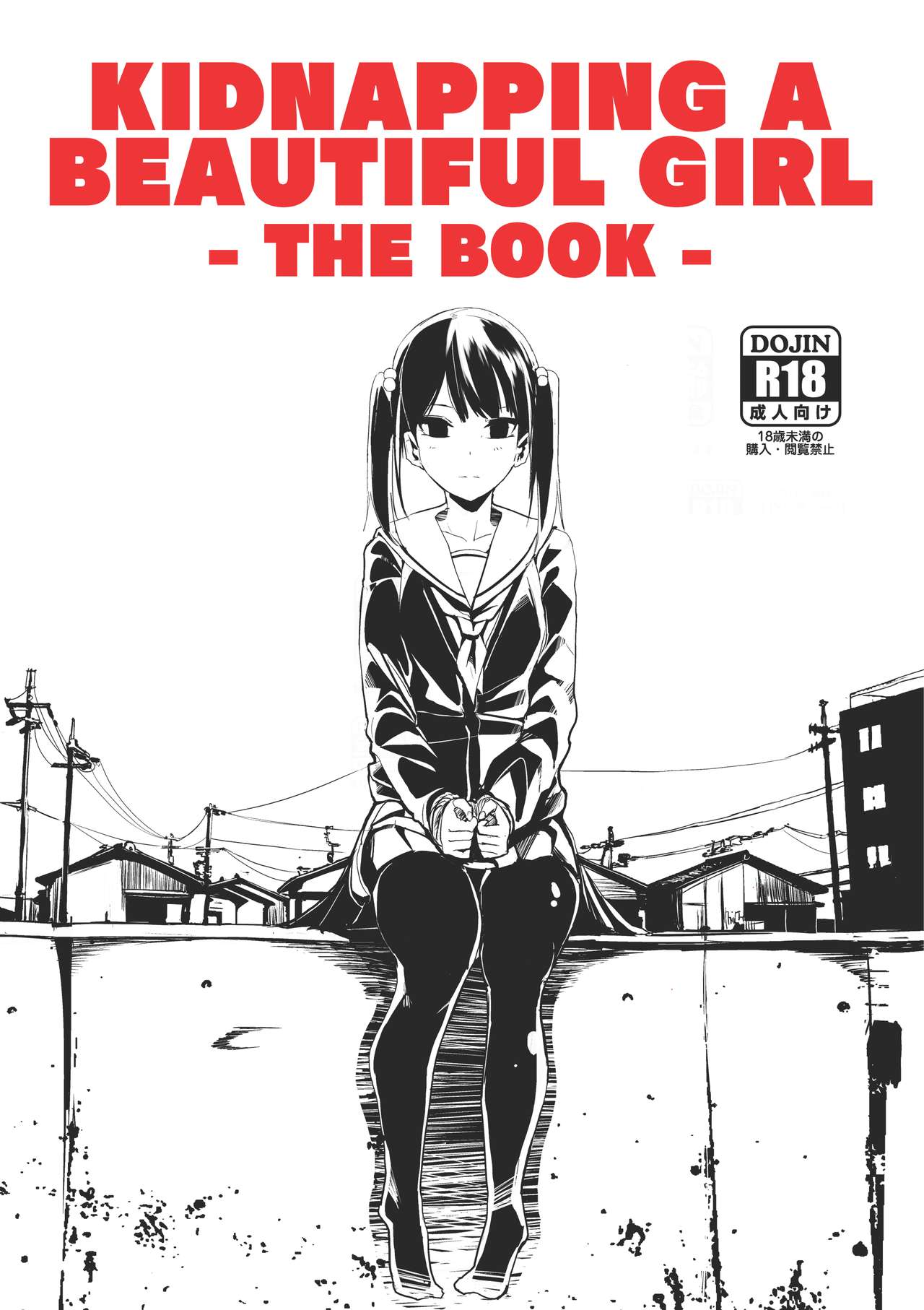 Kidnapping a Beautiful Girl: The Book cover