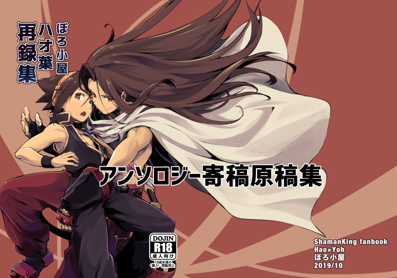 Boro Goya HaoYoh Sairokushuu cover