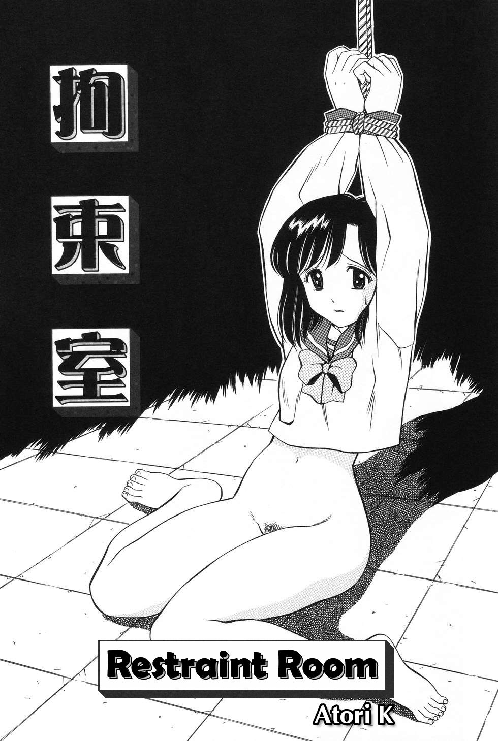 Restraint Room cover