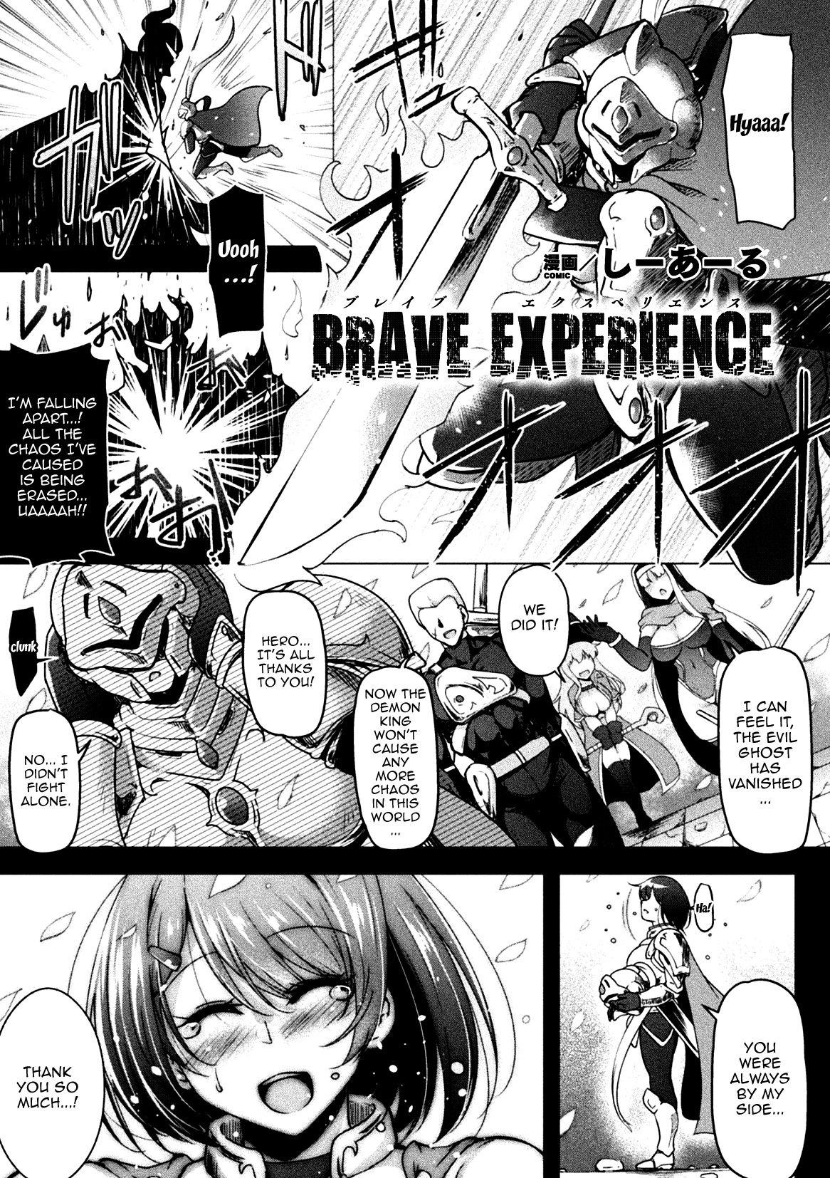 BRAVE EXPERIENCE cover