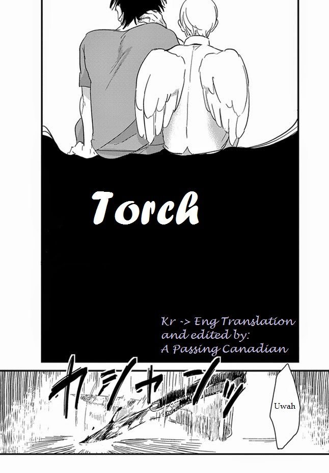 Torch cover