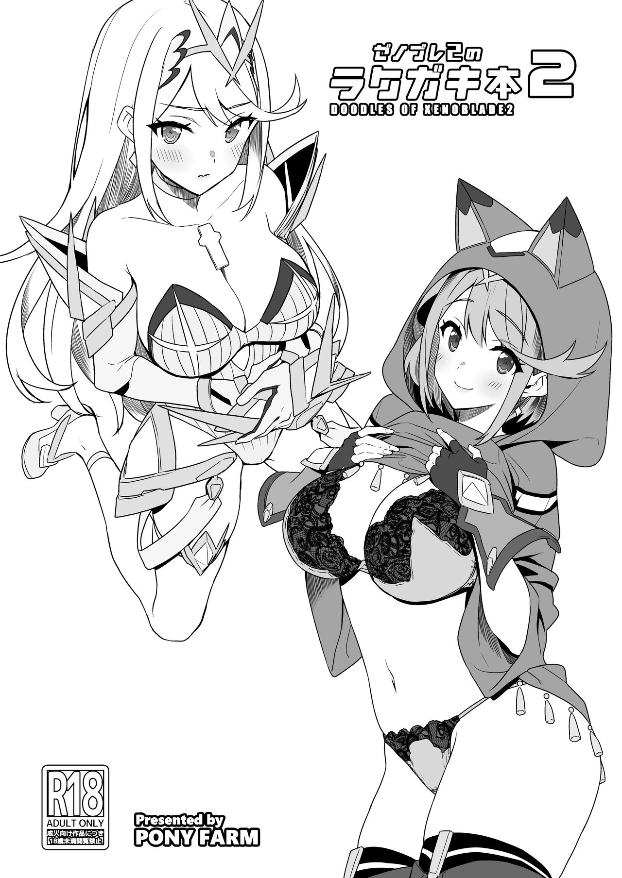 Second Book of Xenoblade Chronicles 2 Doodles cover