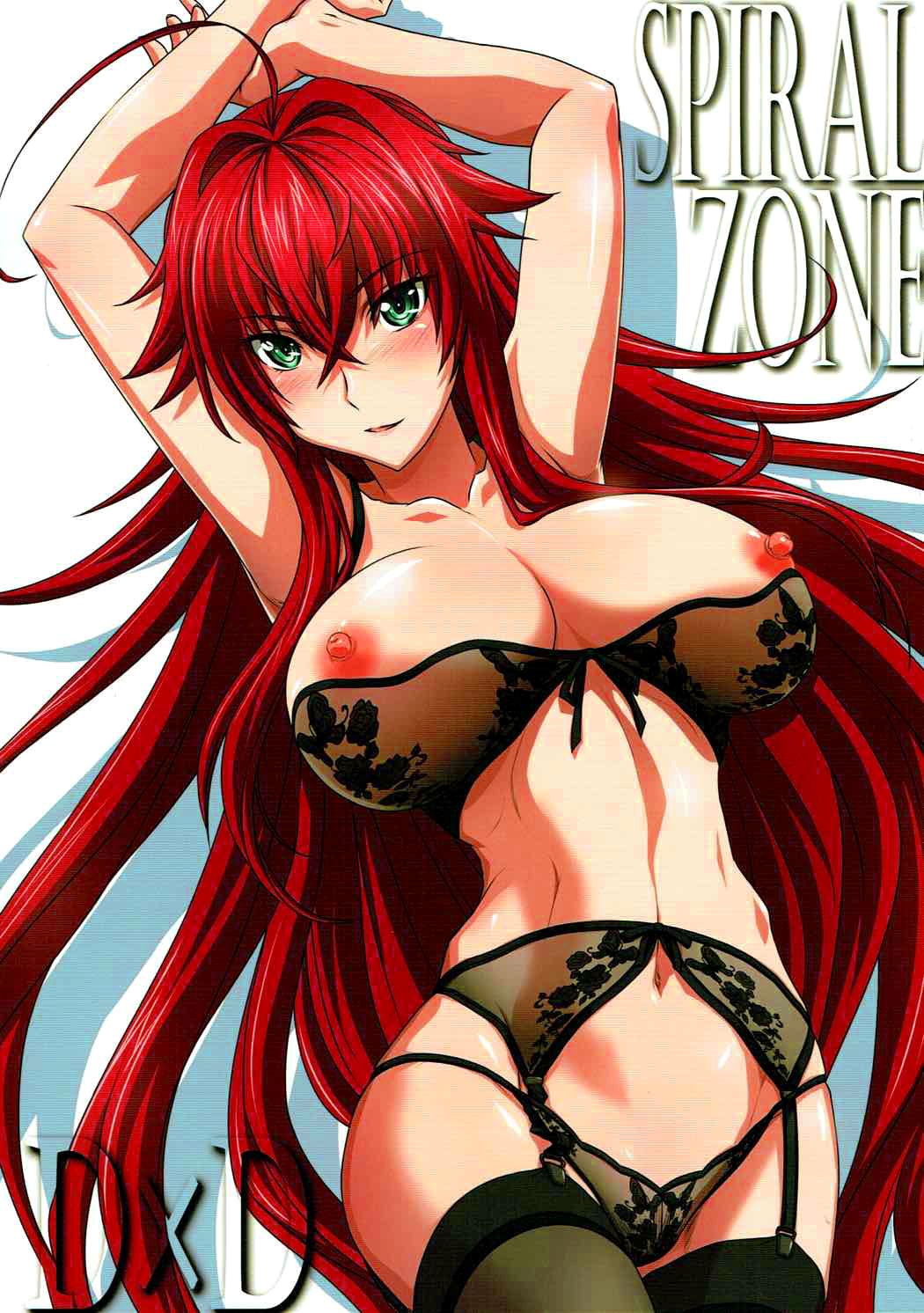 SPIRAL ZONE DxD cover