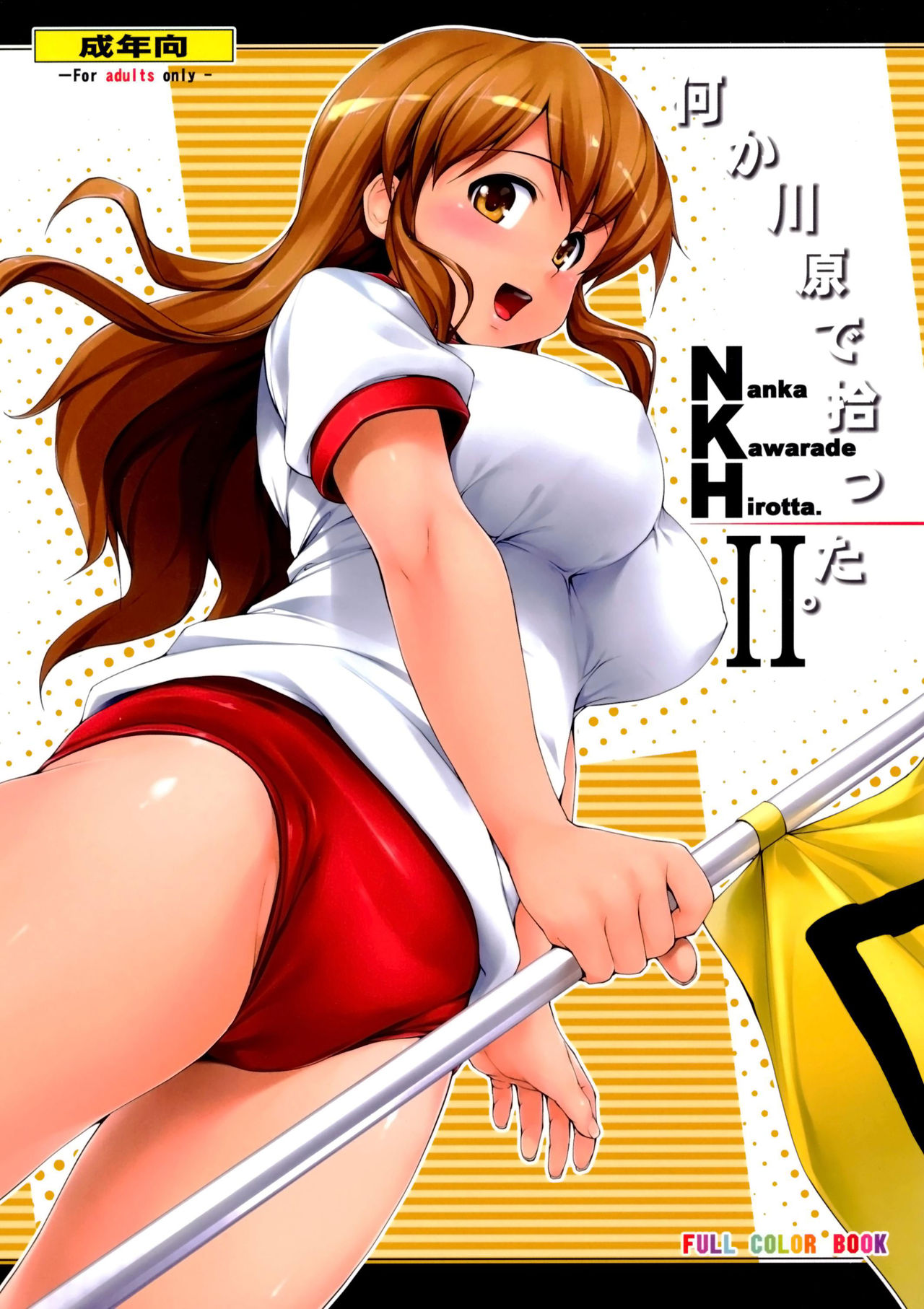 NKH II Nanka Kawarade Hirotta 2 cover